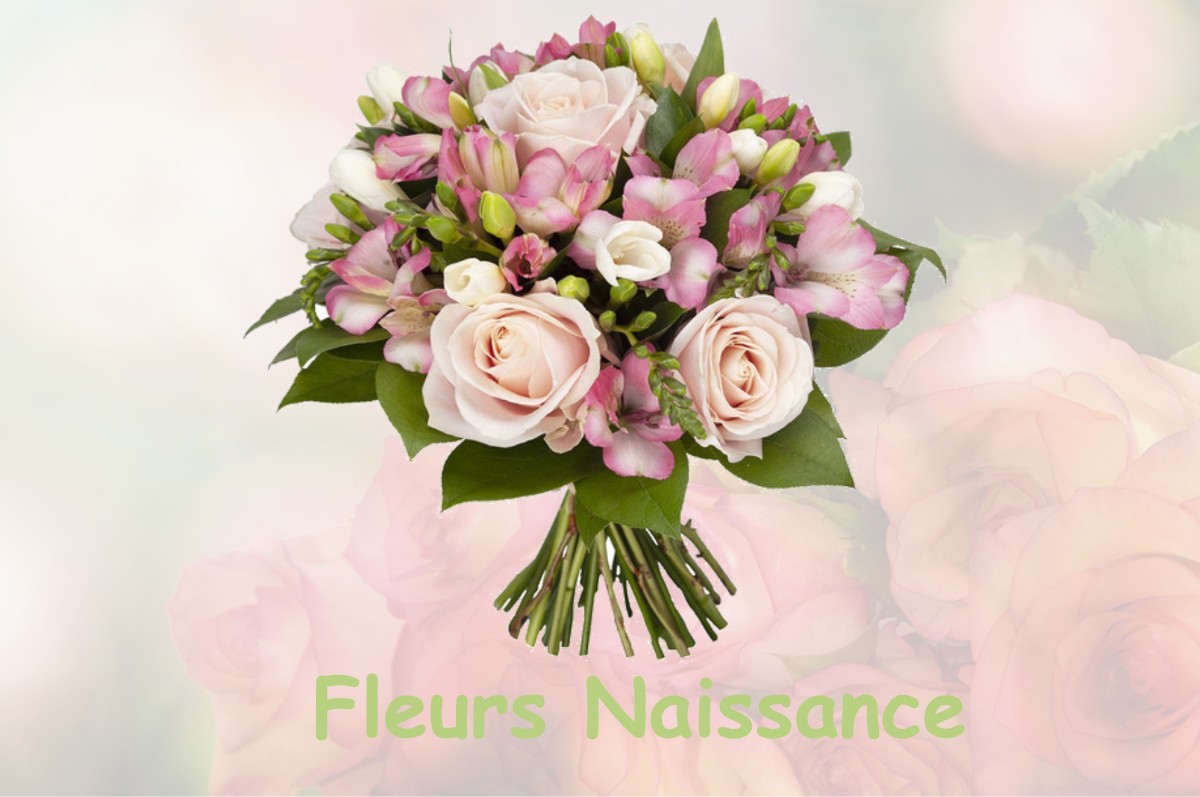 fleurs naissance PIERREFEU