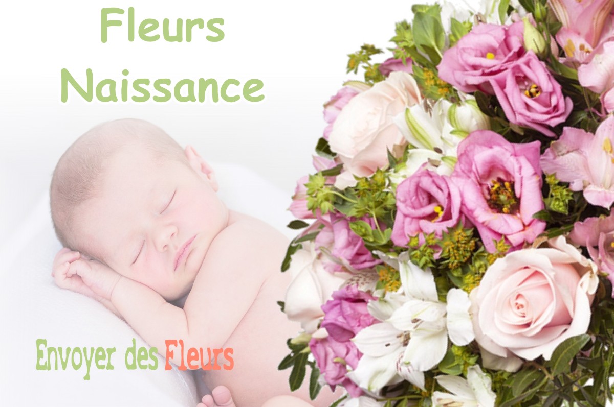 lIVRAISON FLEURS NAISSANCE à PIERREFEU